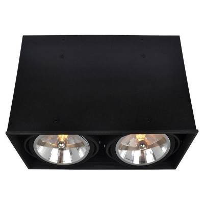 Потолочный светильник Arte Lamp Cardani A5936PL-2BK