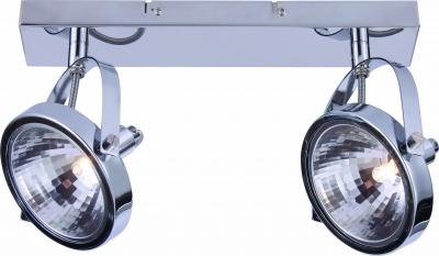 Светильник потолочный Arte Lamp арт. A4506PL-2CC