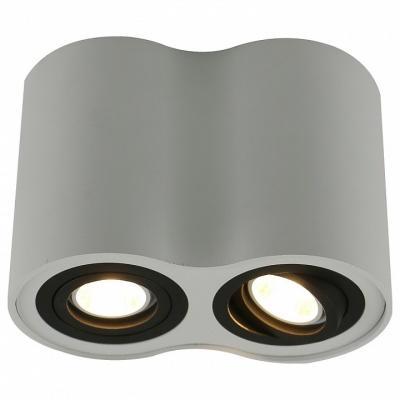 Накладной потолочный светильник Arte Lamp арт. A5644PL-2WH